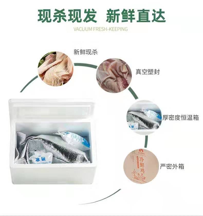 两只鸡正宗土鸡三黄鸡笨鸡公鸡童子母鸡店有农村农家散养批发包