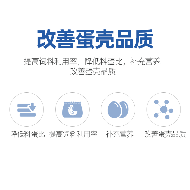 白金肽 蛋鸡增加产蛋量