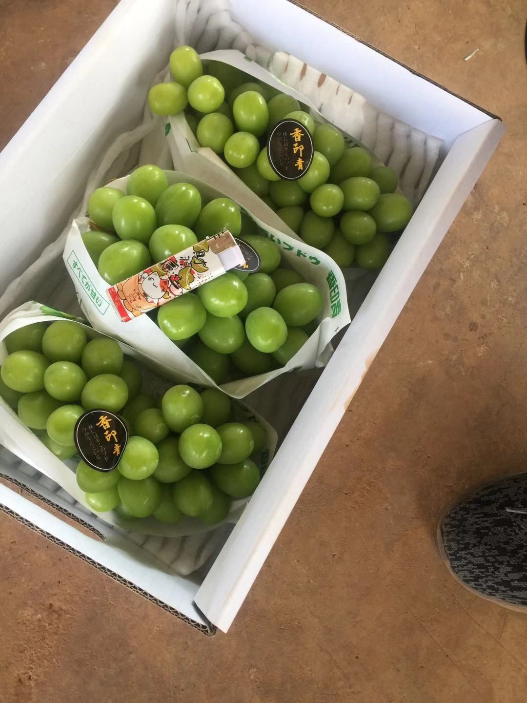 阳光玫瑰-阳光玫瑰葡萄-云南阳光玫瑰-云南阳光玫瑰葡阳光代办