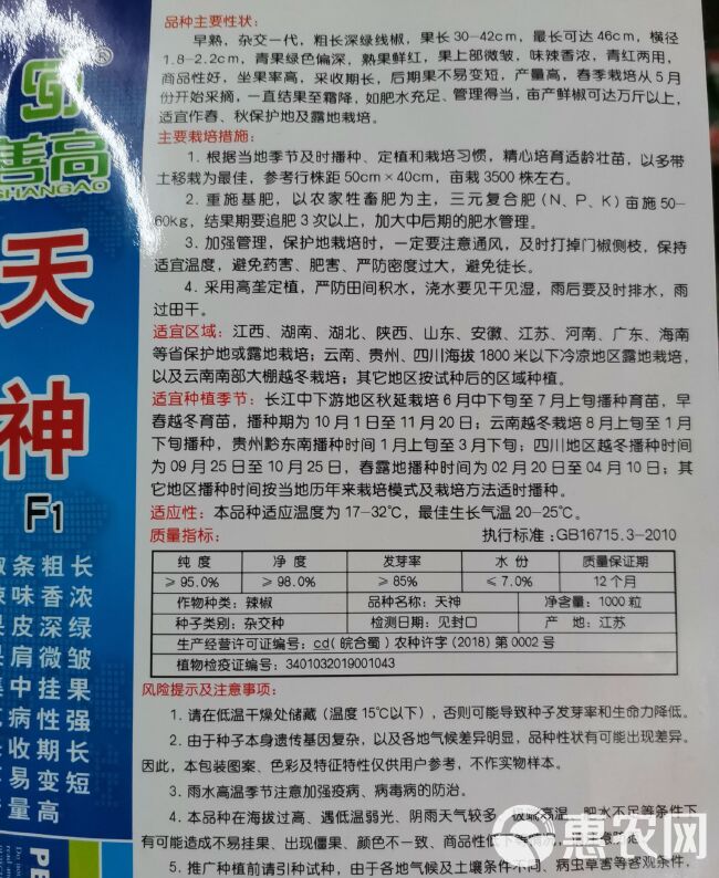 【天神】一代杂交辣椒种子深绿皮粗长线椒种子高产抗病强辣味香