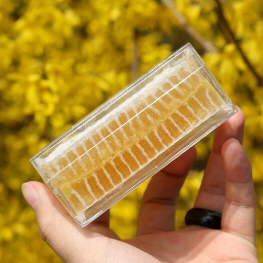 昆明蜂巢蜜 蜂蜜 嚼着吃的蜂蜜