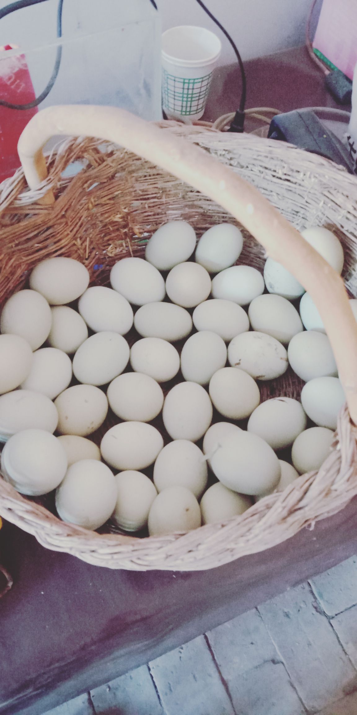 农家土鸡蛋