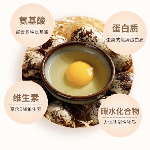 靖江市土鹌鹑蛋 动物中的人参  卵中佳品