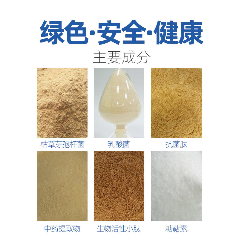 白金肽 蛋鸡增加产蛋量