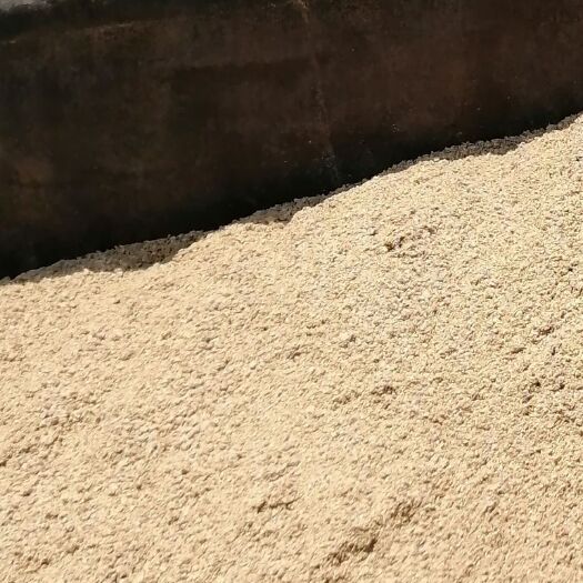 佛山啤酒糟  广东湖南大量啤酒超出售