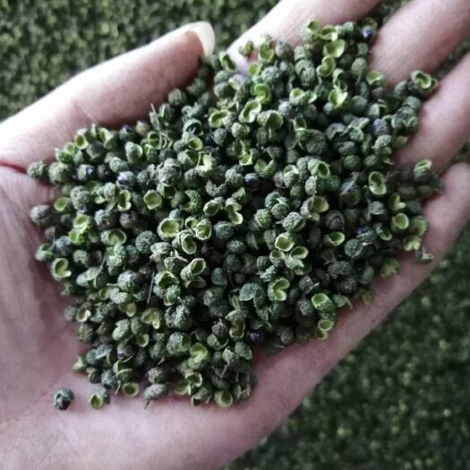 重庆市 青花椒新货，价格便宜