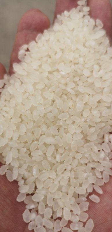 沭阳县 直销大米，价格劲爆价，正在抢购！
