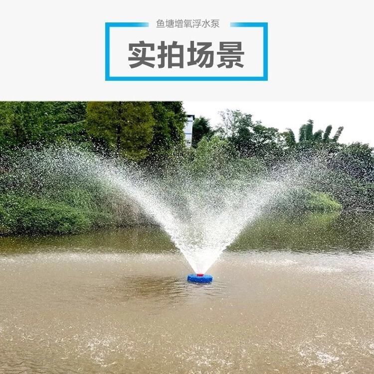 增氧机 鱼塘漂浮增氧泵可排水可增氧两用