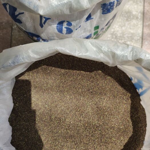 新绛县柴胡种子 原产地，自产自销。