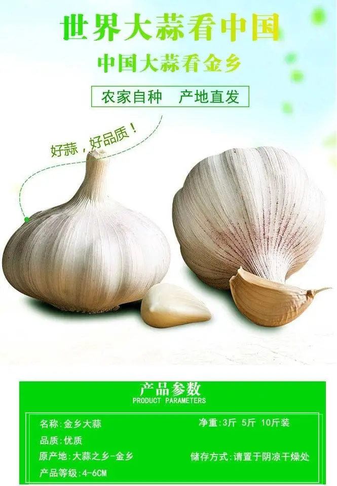  金乡大蒜直营，产地直发，5斤装，一件代发