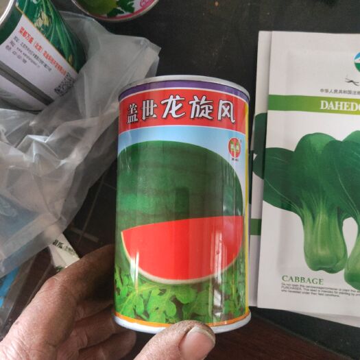 宁阳县 西瓜苗四叶一心五叶一心发货快快递物流要的多送货送上门