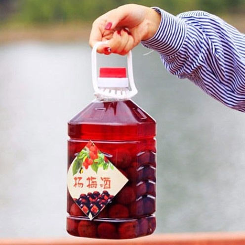 長興縣東魁楊梅  產(chǎn)品可以做楊梅也可以吃