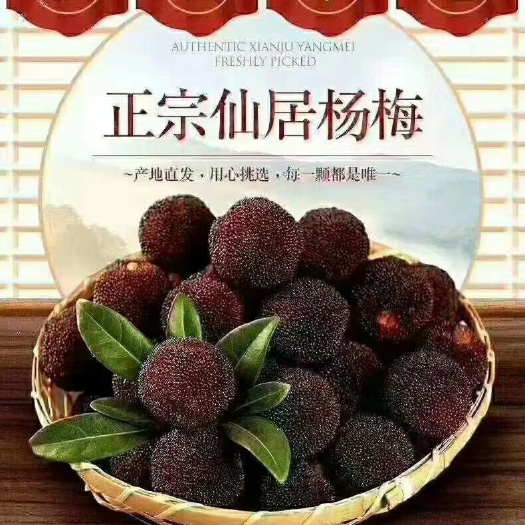 仙居县东魁杨梅，让你品尝跨越千年的甜美滋味。
