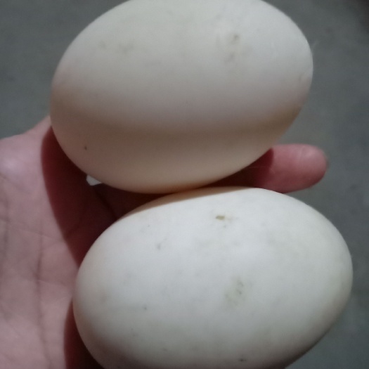 肥城市 双黄鸭蛋