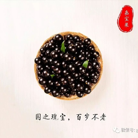 南宁沙巴嘉宝果 自酿嘉宝果酒，果味浓厚，口感特别，营养丰富，每天一小杯。