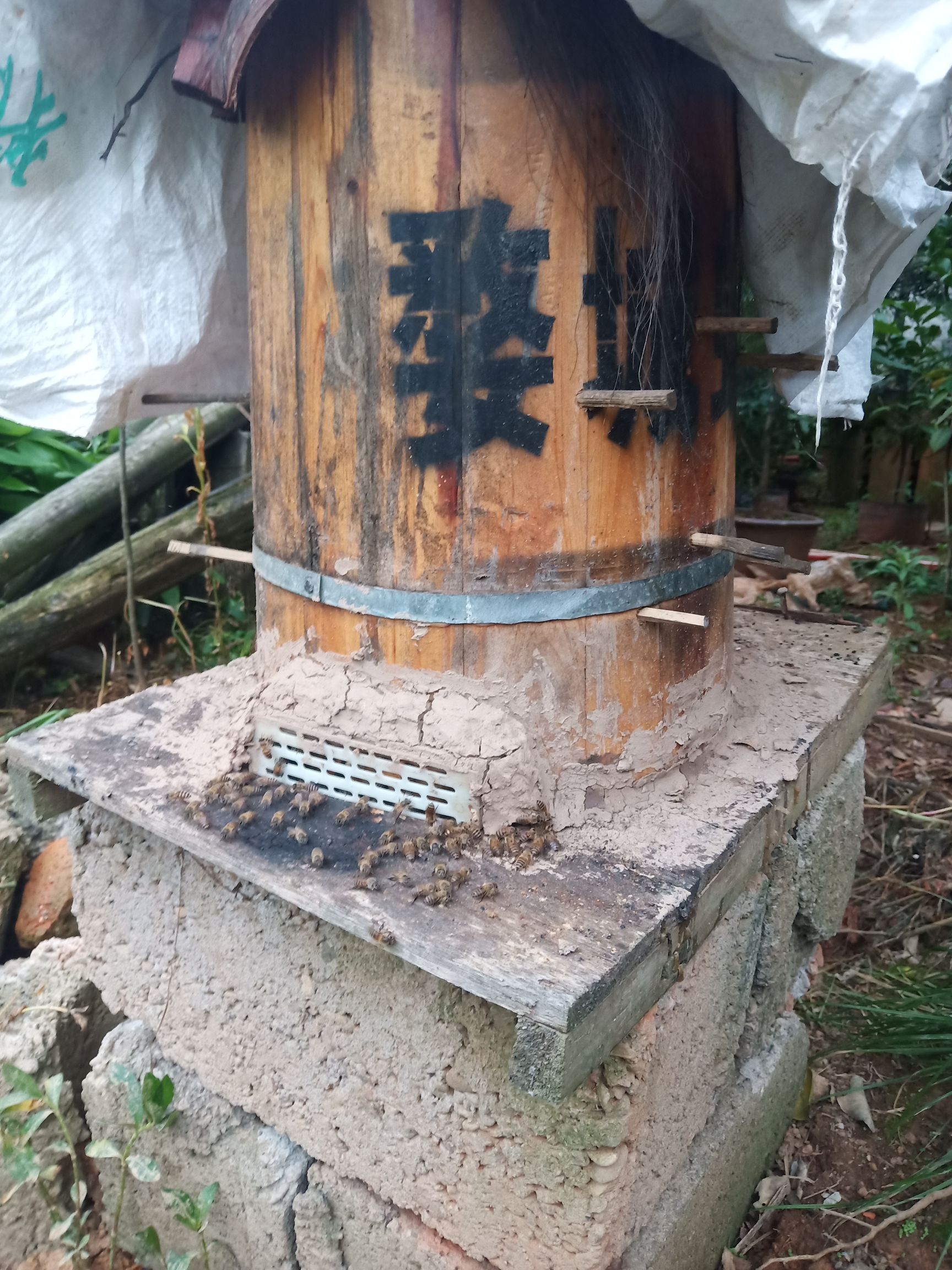 金华 农家自产土蜂蜜，零污染绿色环保，，增强人体免役力。