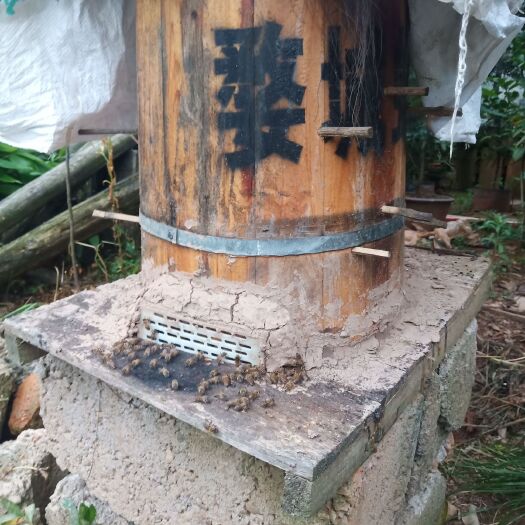 金华 农家自产土蜂蜜，绿色环保，，增强人体免役力。