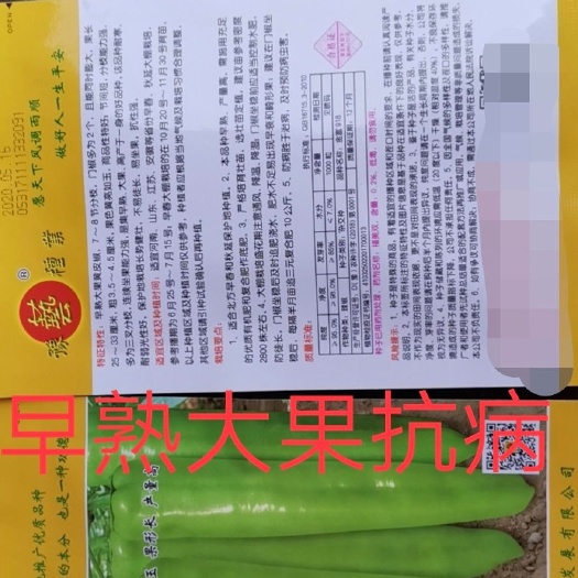 扶沟县牛角椒种子  金富918~早熟大果黄皮椒门椒多为2个品质产量
