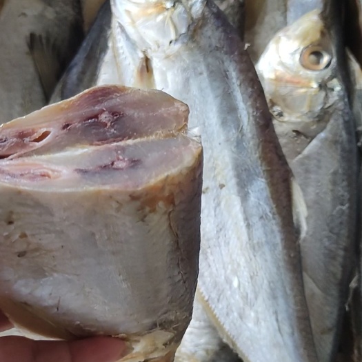 滨州白鲢鱼 快手网红，白鳞鱼，咸鱼，煎，炸，蒸，炖，红烧非常好吃