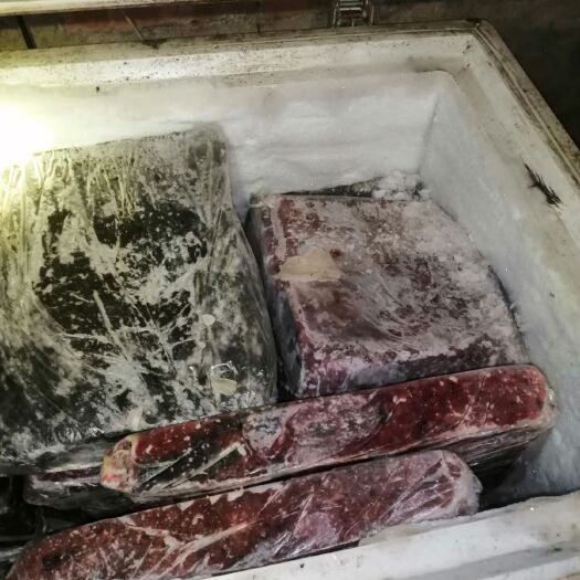 兴业县鸡肉类  鸡肉泥       喂狗专用  另有小猎犬出