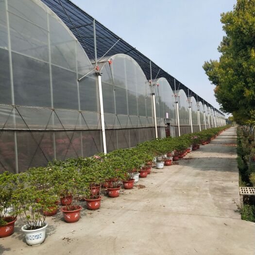 无锡连栋大棚骨架厂家直销