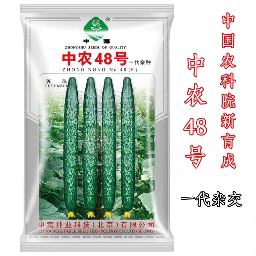 樟树市油亮密刺黄瓜种子 中农48号：瓜色靓丽   抗病性强   耐高温