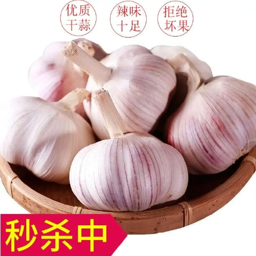 金乡县 金乡大蒜直营，产地直发，5斤装，一件代发