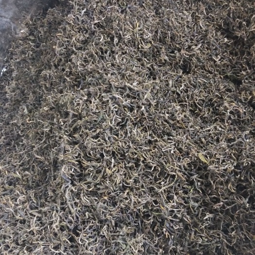 白河县 绿茶特级盒装