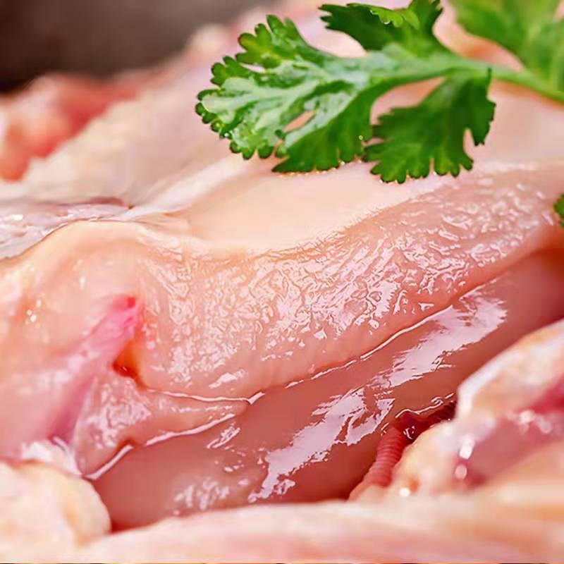 两只鸡正宗土鸡三黄鸡笨鸡公鸡童子母鸡店有农村农家散养批发包