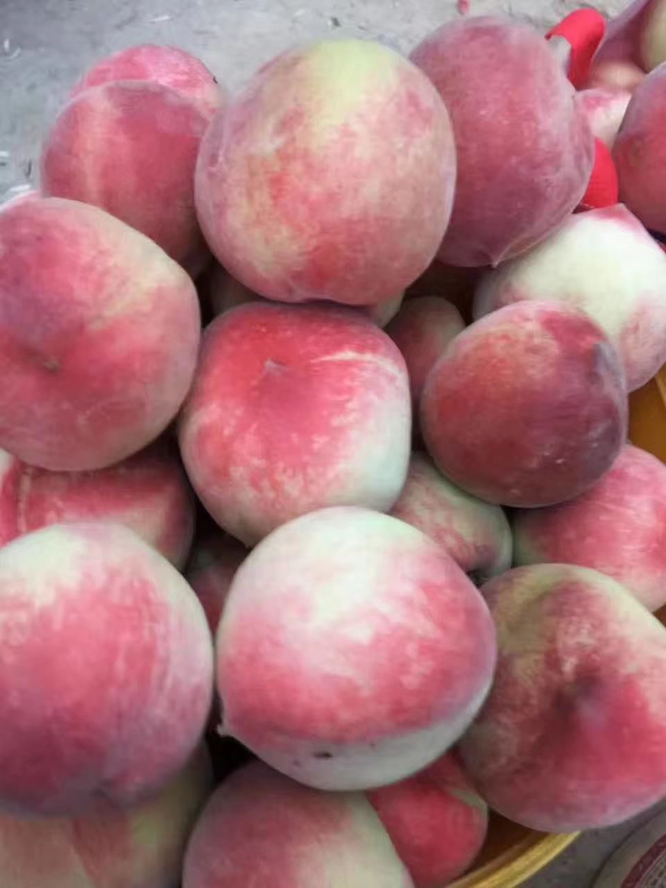  毛桃大量上市了