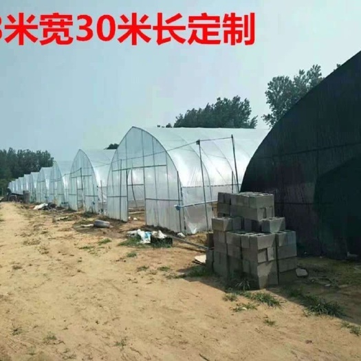 泊头市养殖大棚