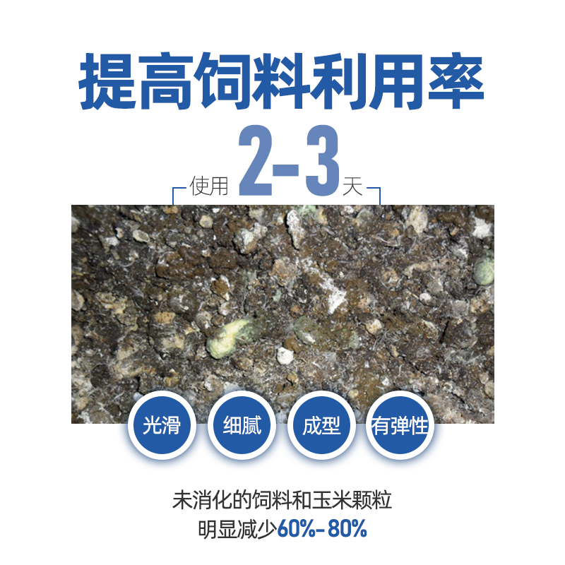 白金肽 蛋鸡增加产蛋量
