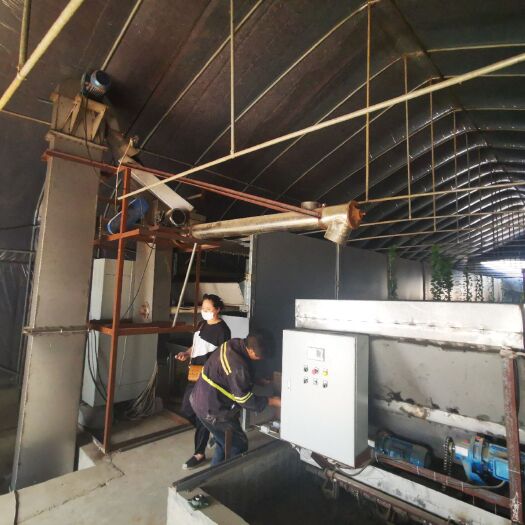  黑水虻养殖生产线，畜禽粪便变废为宝