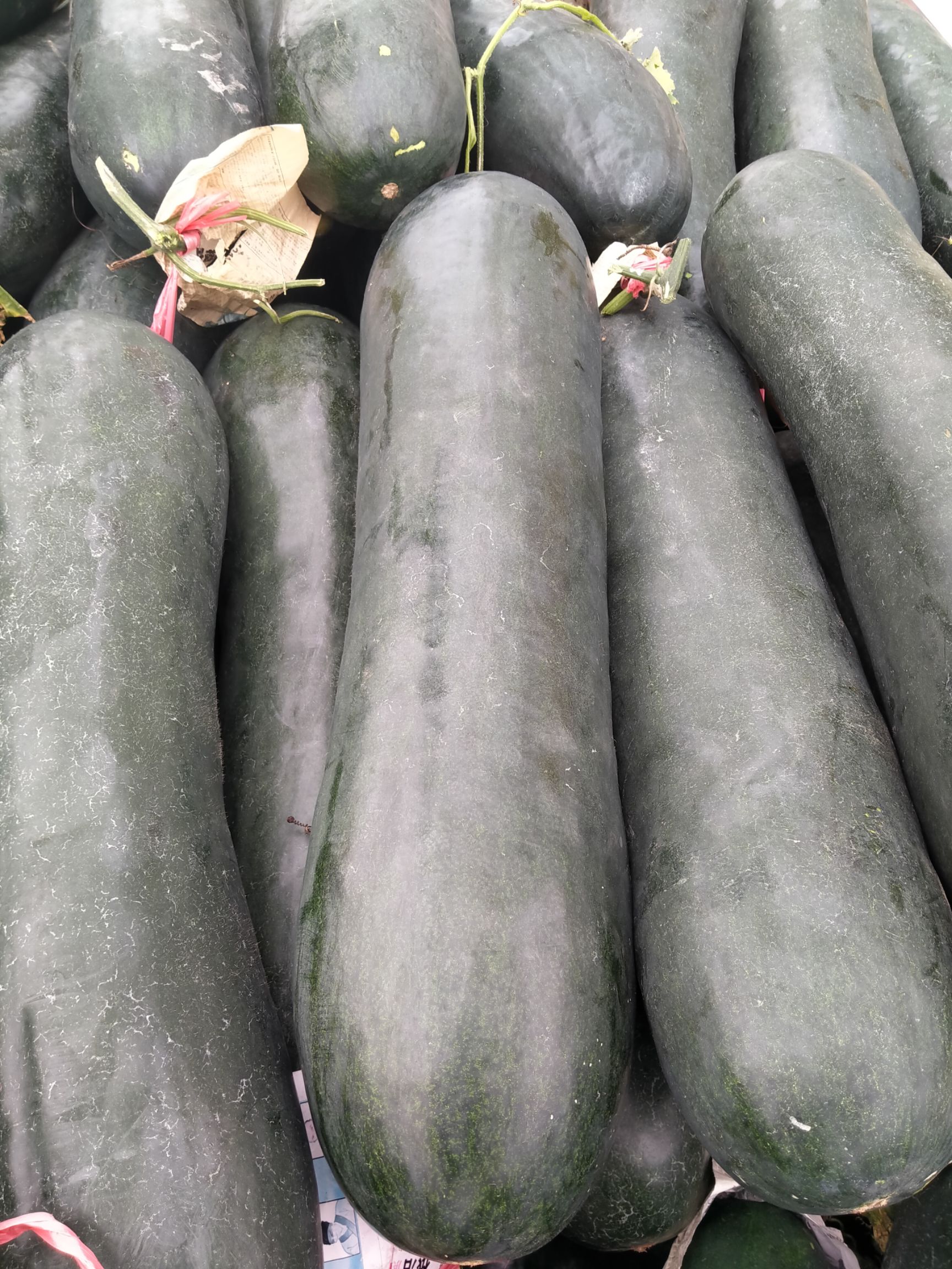 精品黑皮冬瓜产地直销，颜色好，有便宜回程车25---40