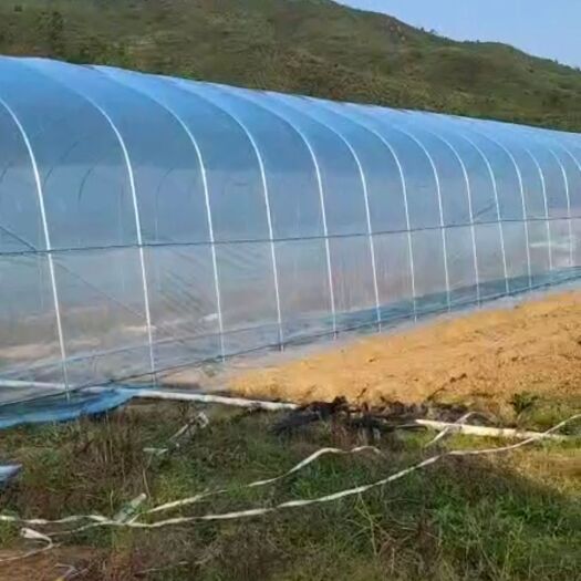 天津单体棚 八米拱棚