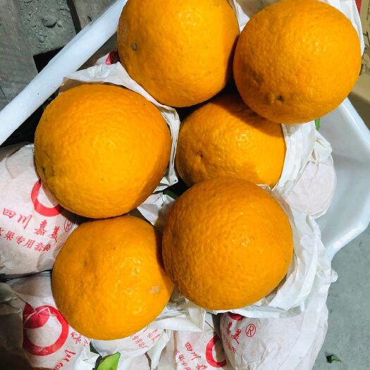 蒲江县石门蜜橘 四川青见柑橘