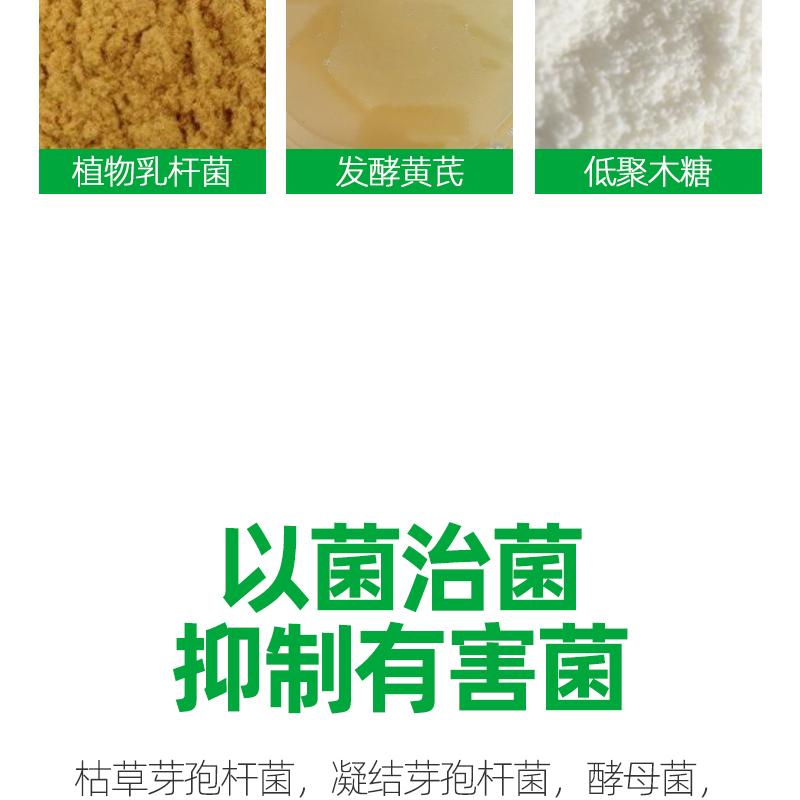 白金肽 蛋鸡增加产蛋量