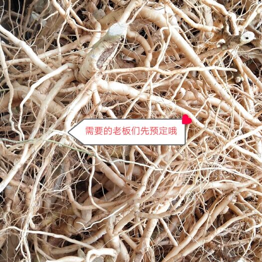 龙陵县黄花倒水莲  到吊黄【鲜货】