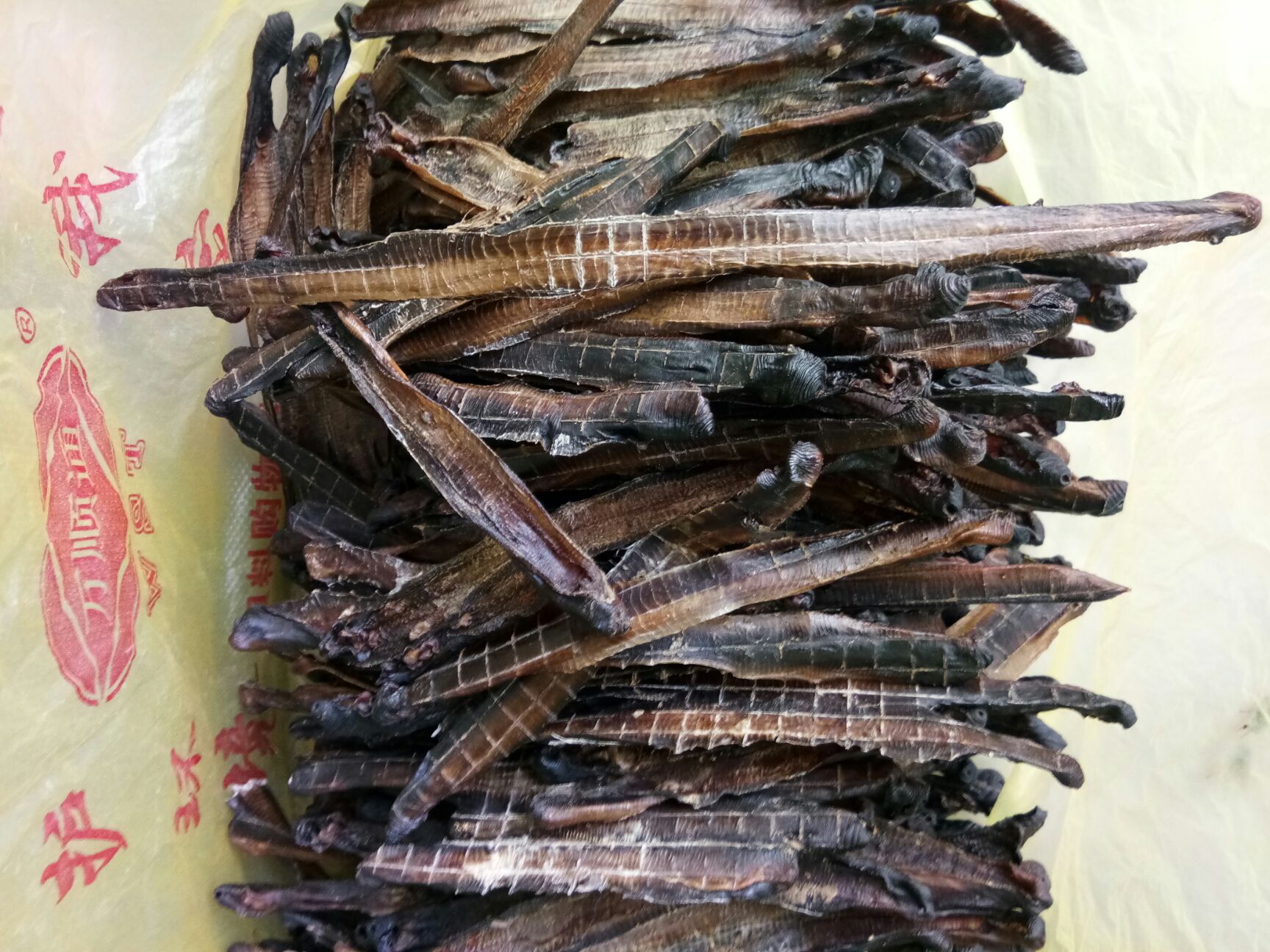 广地龙  全开干地龙