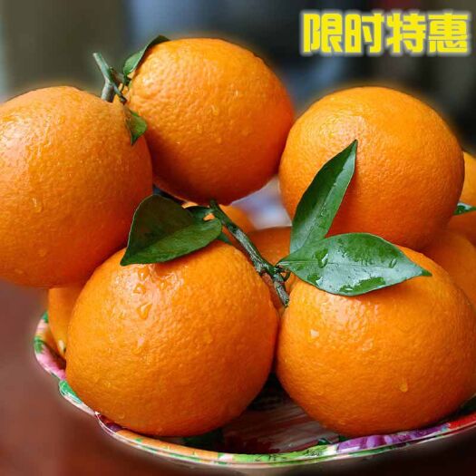  夏橙水果新鲜批发5斤10斤3斤应季现摘现发夏橙酸甜薄皮整箱非