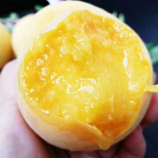 蒙阴县 蒙阴黄桃水蜜桃无痕代发/诚信代办非油桃蟠桃