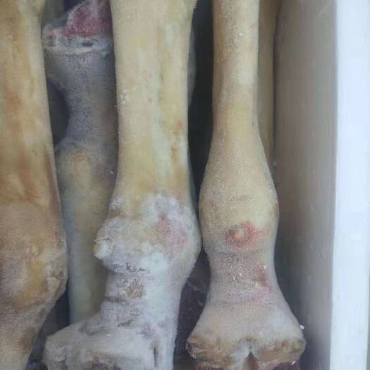 馬蹄子  驢蹄，帶皮蹄筋，驢蹄子，馬蹄