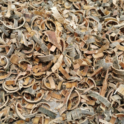 商南县 秦皮