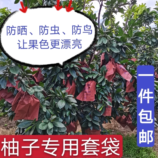 平和县柚子套袋刀把型种植套袋防水防晒防虫防鸟红心柚三红柚等通用