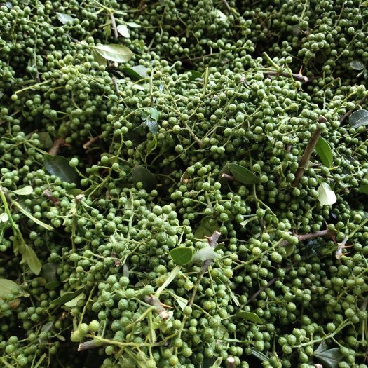 重庆市 新鲜青花椒供应