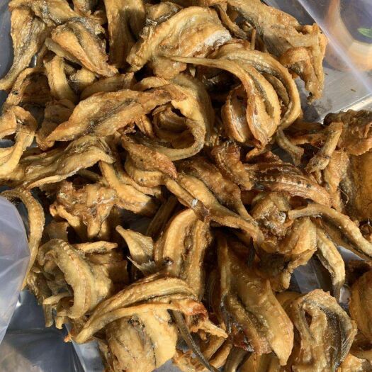 龙头鱼干 香酥龙头鱼