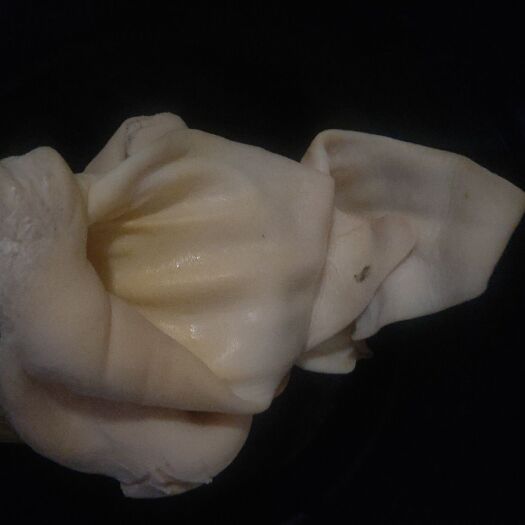 无极县 大量退毛生牛耳，价格优惠