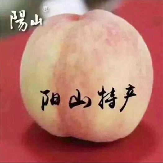无锡 阳山水蜜桃