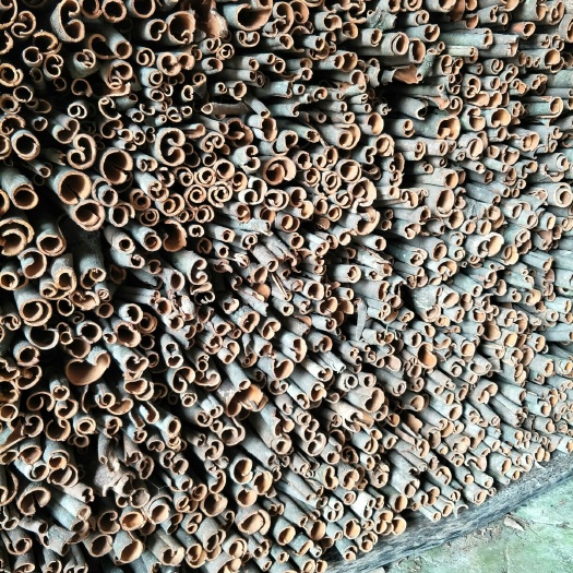 德庆县中通桂皮