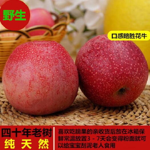 陇县40年老树秦冠苹果5/10斤天然丑水果粉面刮泥辅食非富士